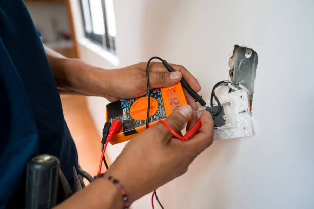 Best Electrician for Home Renovation  in Bridgeville, PA